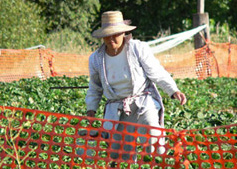 Farm worker.