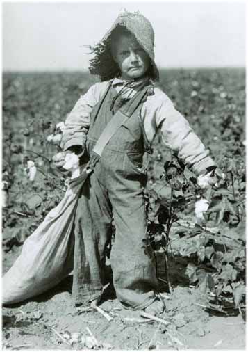 Photo of a little girl farmer picking cotton in a farm, taken in the US in the early 20th century.