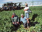 Agricultural workers.