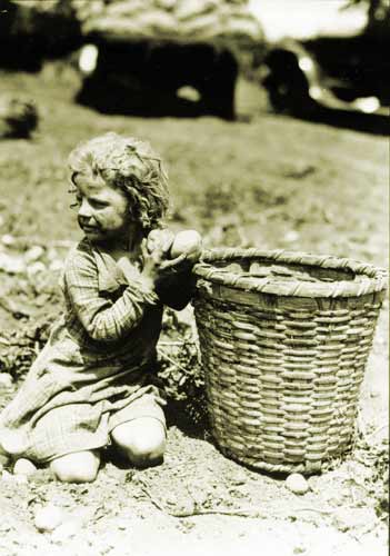 Photo of a little girl farmer picking potatoes, taken in the US in the early 20th century.