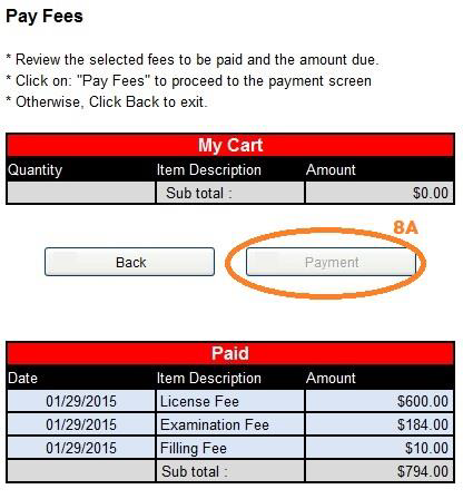 Page/Tab 8: Payment