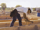 Carpenter working in a bent or stooped posture