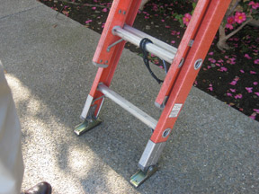 Rest the base of ladders on firm, solid, level, dry, non slippery surfaces away from hallways, passageways, doorways, driveways or heavy traffic areas.