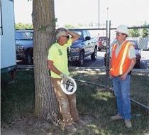 Men taking a break under a tree - shaded area