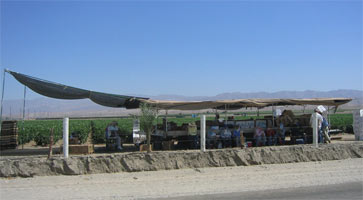Outdoor shade