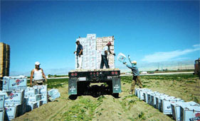 4 guys working outdoors