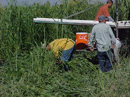 Men working near water container