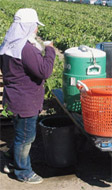 Lady drinking water with head cover on