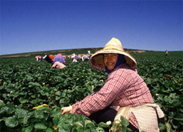 Woman working outside wearing a hat