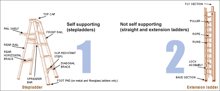 Difference between self-supporting ladder and non-self-supporting ladder.