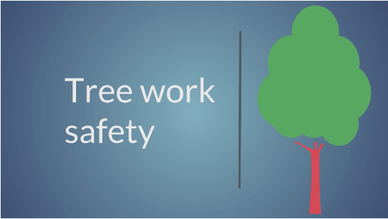 Seguridad para trabajadores de árboles